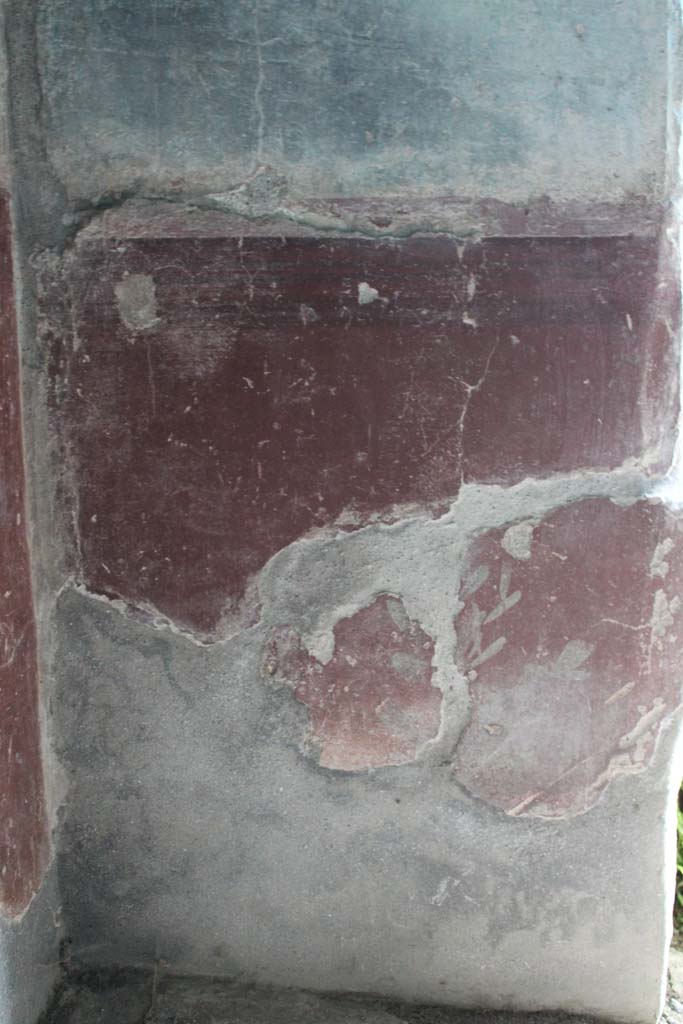 IX.5.9 Pompeii. May 2019. 
Room l (L), detail of zoccolo with remaining painted plant on east wall. 
Foto Christian Beck, ERC Grant 681269 DCOR.
