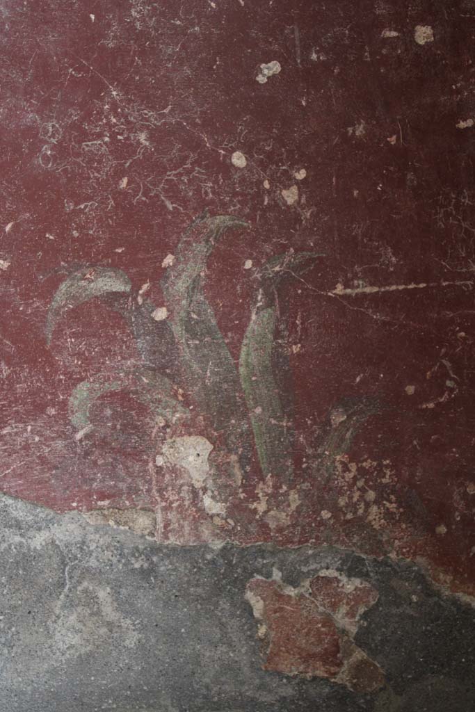 IX.5.9 Pompeii. May 2019. 
Room l (L), detail of painted plant on lower zoccolo of north wall at east end.  
Foto Christian Beck, ERC Grant 681269 DCOR.
