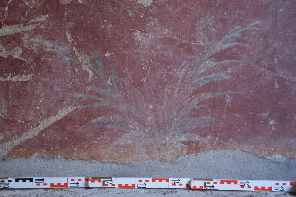 IX.5.9 Pompeii. May 2017. Room l (L), detail of painted plants on zoccolo on lower north wall towards centre.  
Foto Christian Beck, ERC Grant 681269 DCOR.

