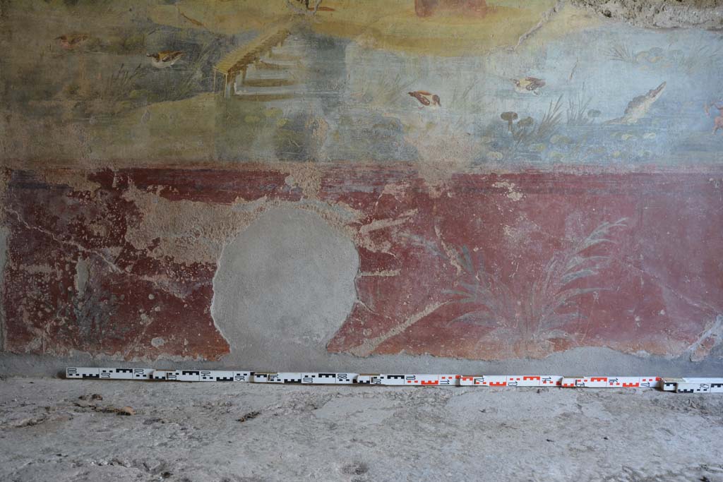 IX.5.9 Pompeii. May 2017. Room l (L), zoccolo on lower north wall. 
Foto Christian Beck, ERC Grant 681269 DCOR.

