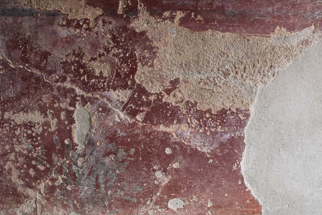 IX.5.9 Pompeii. May 2019. Room l (L), zoccolo on lower north wall at west end, continuation.  
Foto Christian Beck, ERC Grant 681269 DCOR.

