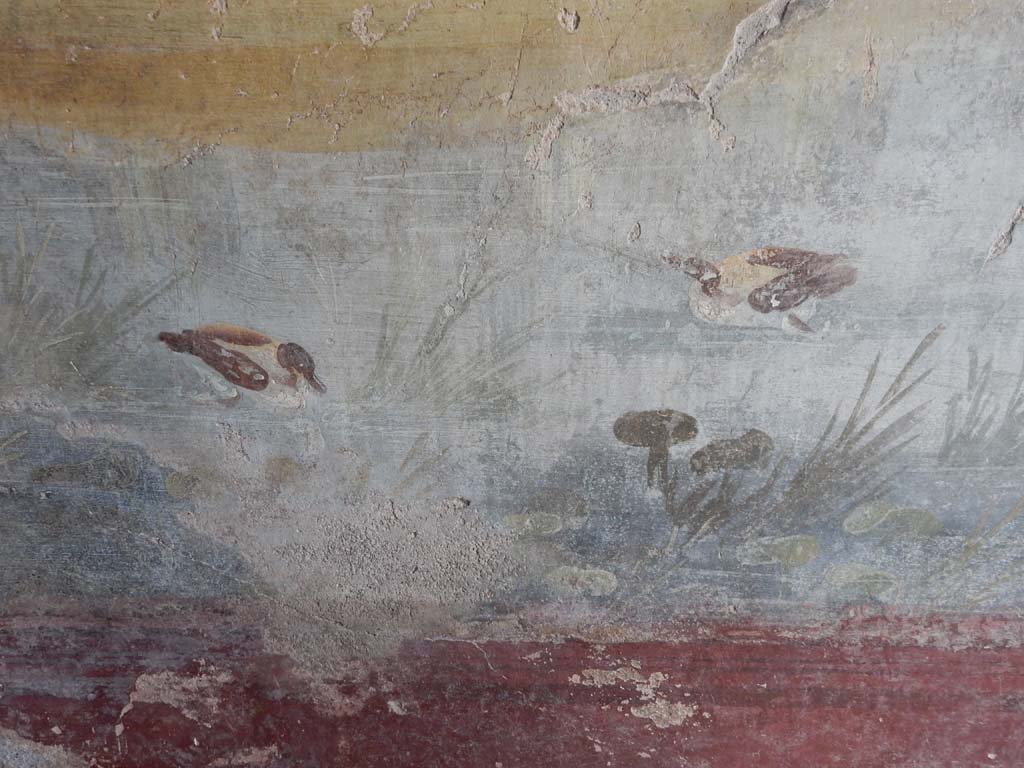 IX.5.9 Pompeii. June 2019. Room 8, detail of ducks in river on north wall. Photo courtesy of Buzz Ferebee.