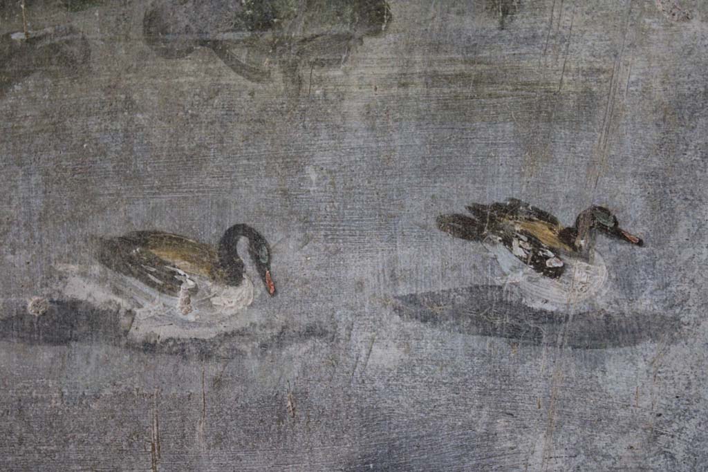 IX.5.9 Pompeii. May 2019. Room l (L), detail of ducks from north wall at west end.  
Foto Christian Beck, ERC Grant 681269 DCOR.

