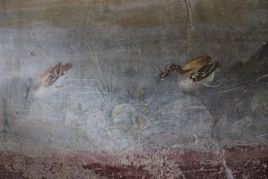 IX.5.9 Pompeii. May 2019. Room l (L), two painted ducks from south wall at west end.  
Foto Christian Beck, ERC Grant 681269 DCOR.

