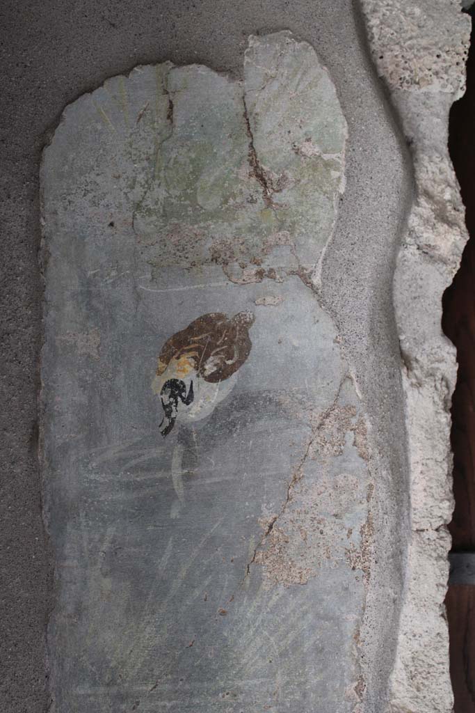 IX.5.9 Pompeii. May 2019. 
Room l (L), painted panel with duck from south wall at east end of window.     
Foto Christian Beck, ERC Grant 681269 DCOR.
