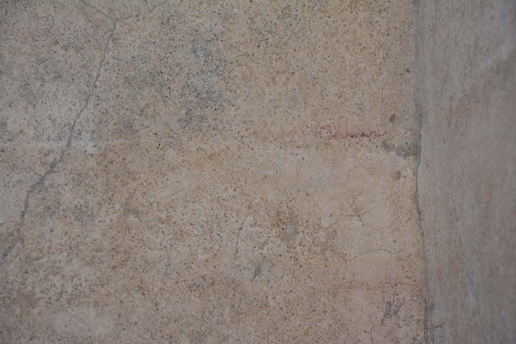 IX.5.9 Pompeii. May 2017. Room m, detail from south wall in south-west corner.
Foto Christian Beck, ERC Grant 681269 DCOR.

