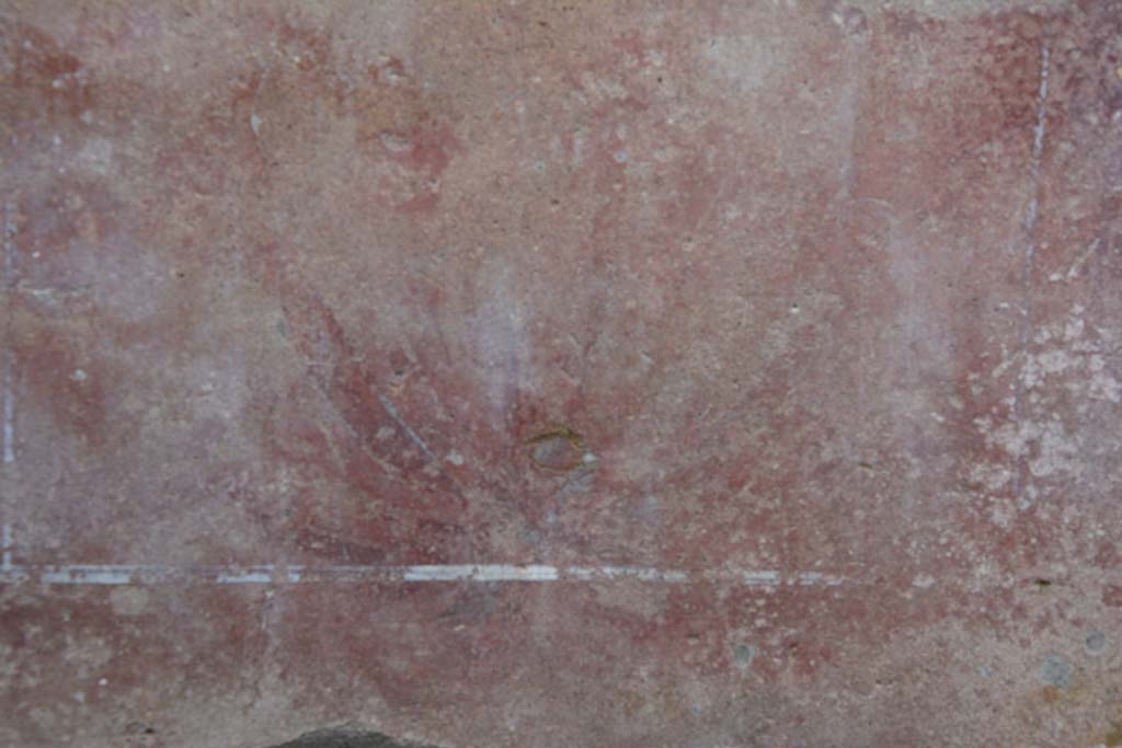 IX.5.9 Pompeii. March 2017. Room “f”, detail from zoccolo of painted plant.
Foto Christian Beck, ERC Grant 681269 DÉCOR.

