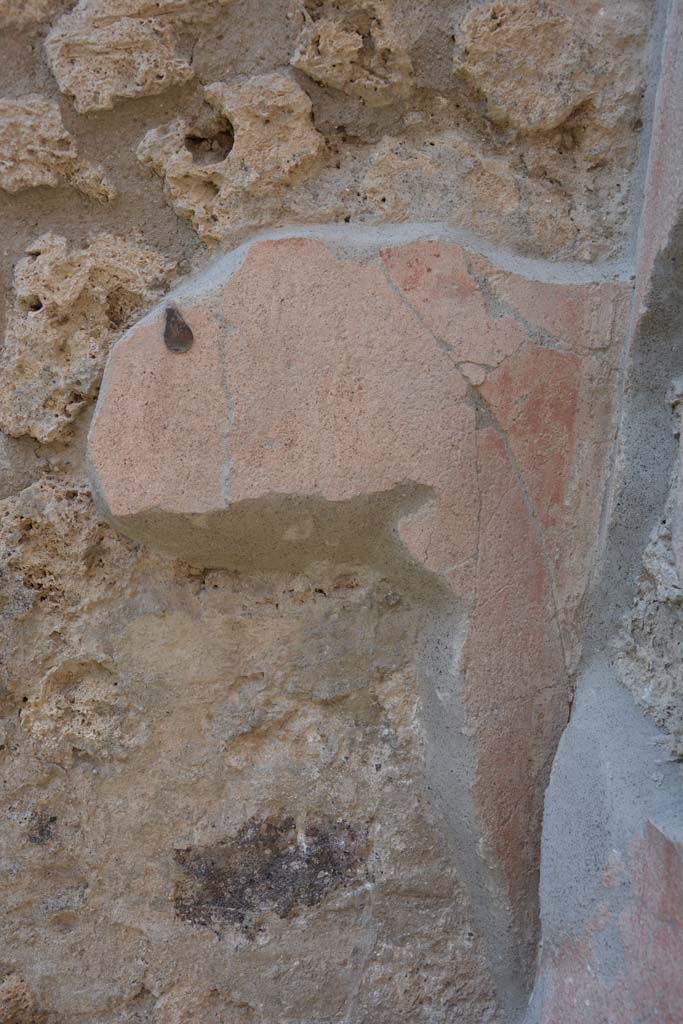 IX.5.9 Pompeii. May 2017. Room g, detail from upper north wall in north-east corner.
Foto Christian Beck, ERC Grant 681269 DCOR.
