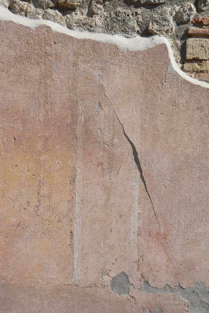 IX.5.9 Pompeii. May 2017. 
Room g, detail from south wall on west side of central yellow panel.
Foto Christian Beck, ERC Grant 681269 DCOR.

