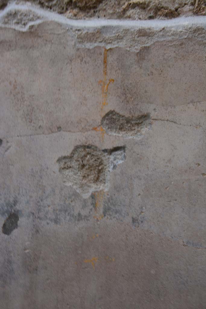IX.5.9 Pompeii. March 2017. Room h,  remaining painted decoration on north wall.
Foto Christian Beck, ERC Grant 681269 DCOR.
