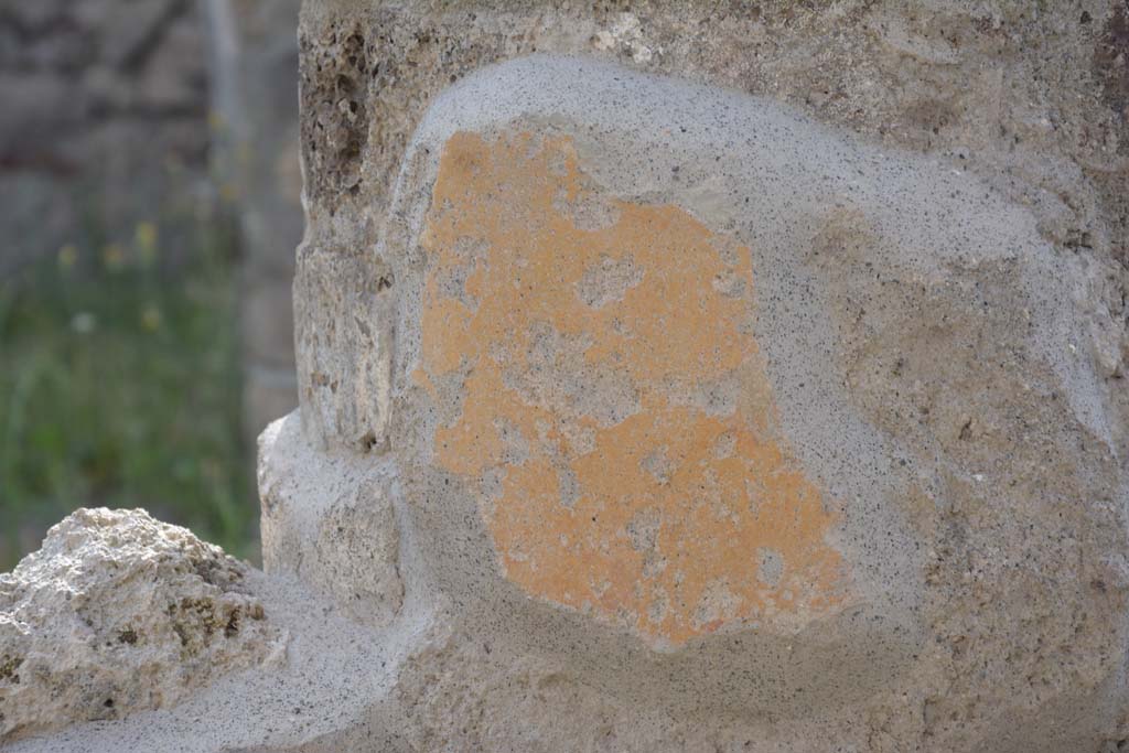 IX.5.9 Pompeii. May 2017. Room i, detail from painted column in north-east corner of portico.  
Foto Christian Beck, ERC Grant 681269 DCOR.


