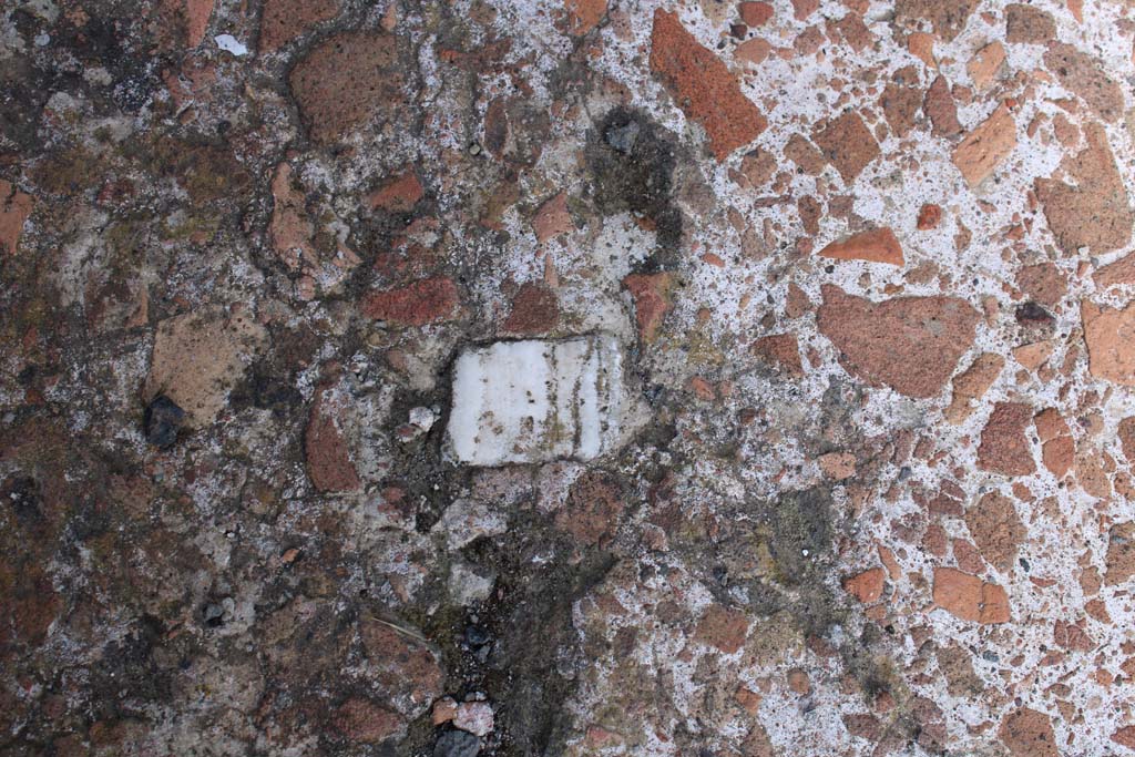 IX.5.9 Pompeii. May 2019. Room “a”, detail of cocciopesto flooring in entrance corridor, with scattered shards of white limestone.
Foto Christian Beck, ERC Grant 681269 DÉCOR.


