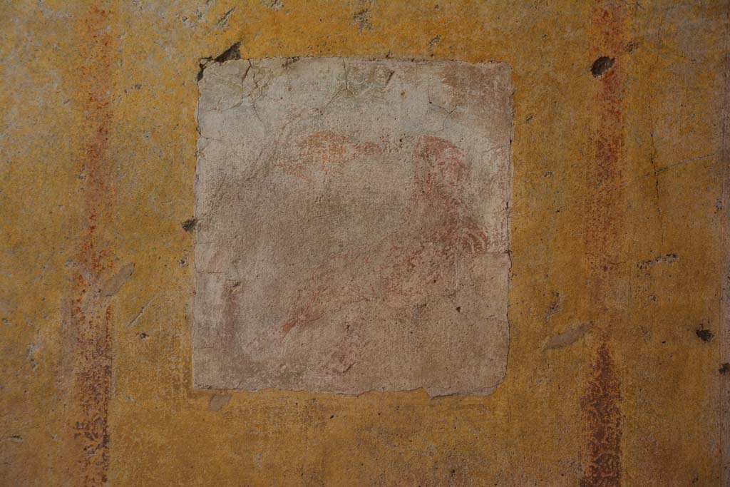 IX.5.11 Pompeii. May 2017. Room f, central painting from south wall.
Foto Christian Beck, ERC Grant 681269 DÉCOR.
