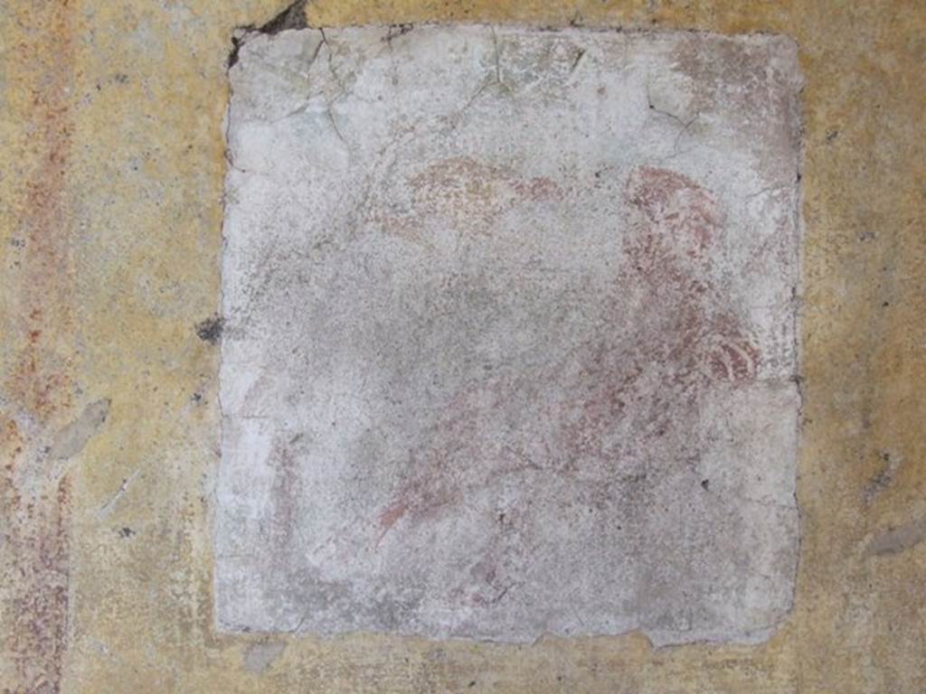 IX.5.11 Pompeii. December 2007. Room 7, remains of wall painting on south wall.  According to Bragantini, the central wall painting on the south wall was of Ganimede and the eagle.  See Bragantini, de Vos, Badoni, 1986. Pitture e Pavimenti di Pompei, Parte 3. Rome: ICCD. (p.473).  See Sogliano, A., 1879. Le pitture murali campane scoverte negli anni 1867-79. Napoli: (p.23, no.86)

