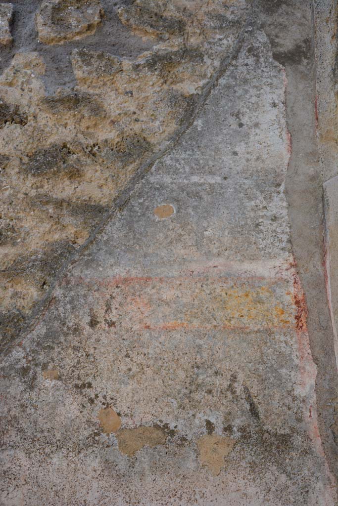 IX.5.11 Pompeii. May 2017. 
Room d, detail of painted decoration at upper west end of south wall.
Foto Christian Beck, ERC Grant 681269 DÉCOR.
