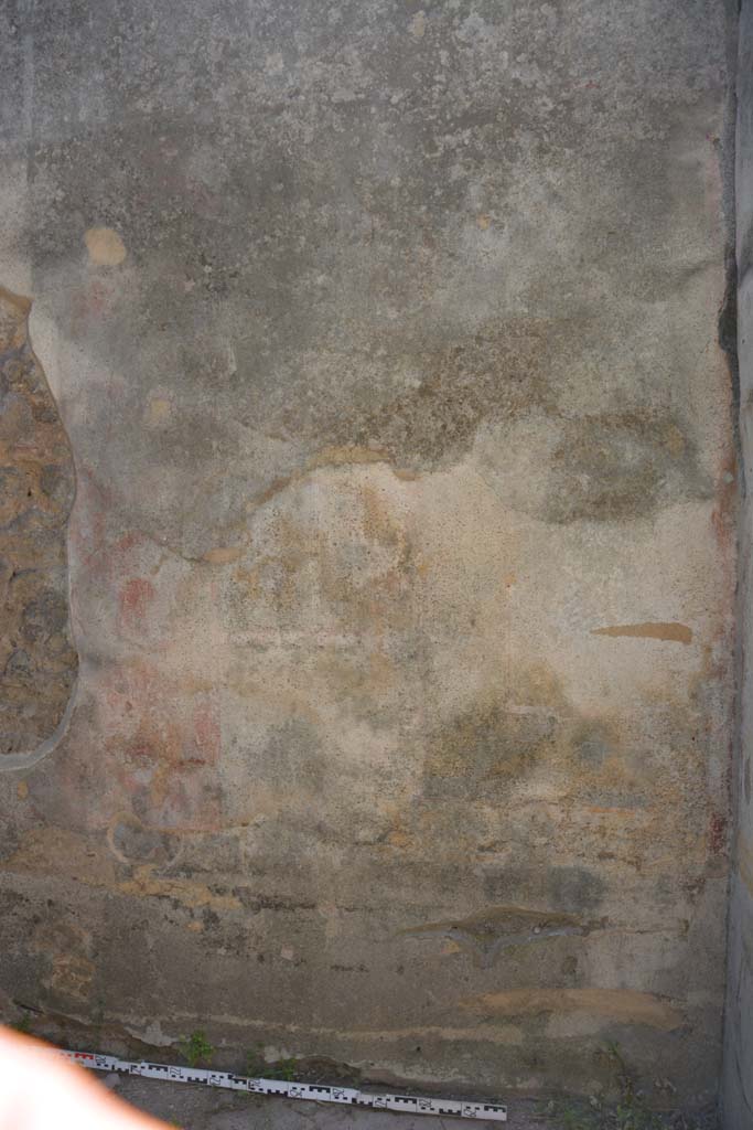 IX.5.11 Pompeii. May 2017. Room d, detail from west wall at north end.
Foto Christian Beck, ERC Grant 681269 DÉCOR.
