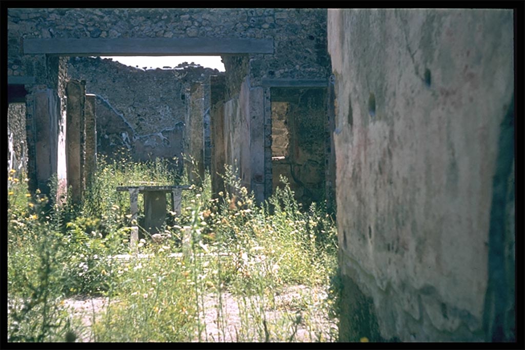 IX.5.11 Pompeii.    Atrium.  Looking south across impluvium to Tablinum, from entrance.  Photographed 1970-79 by Günther Einhorn, picture courtesy of his son Ralf Einhorn.
