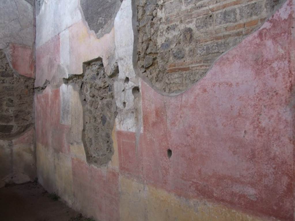 IX.5.11 Pompeii.  December 2007. Room 4, west wall.