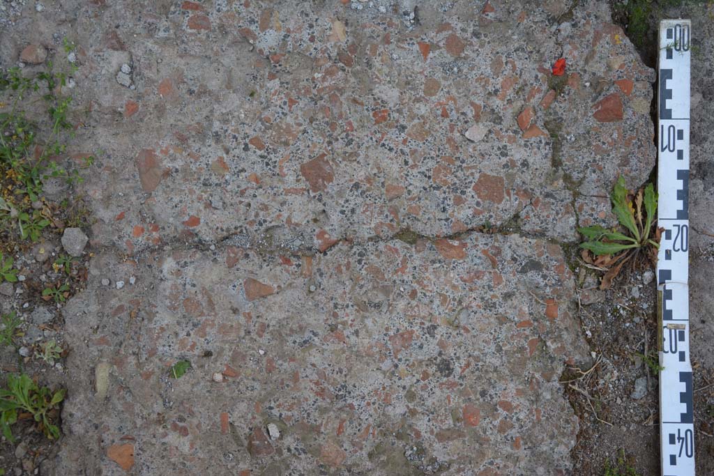 IX.5.11 Pompeii. May 2017. Room l (L), detail of flooring.
Foto Christian Beck, ERC Grant 681269 DÉCOR.

