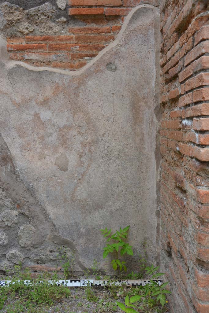 IX.5.12 Pompeii. May 2017. Detail from west wall at north end.
Foto Christian Beck, ERC Grant 681269 DÉCOR.
