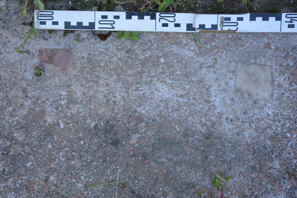 IX.5.14 Pompeii. May 2017. Peristyle “k”, detail from flooring at base of south wall.
Foto Christian Beck, ERC Grant 681269 DÉCOR.

