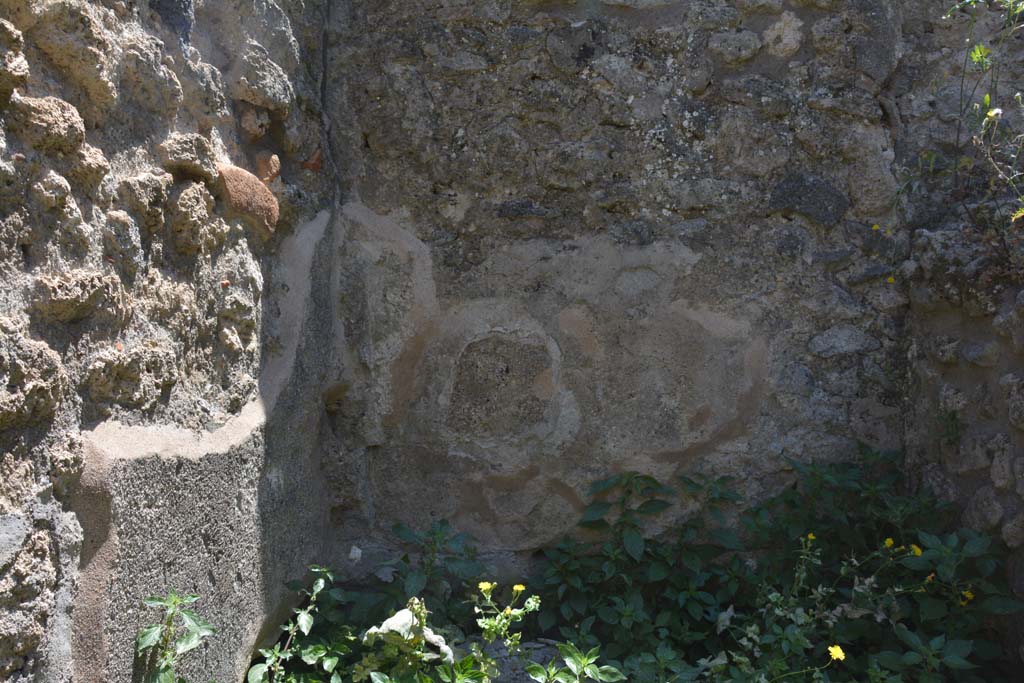 IX.5.14 Pompeii. May 2017. Room “t”, detail from lower south wall. 
Foto Christian Beck, ERC Grant 681269 DÉCOR.
