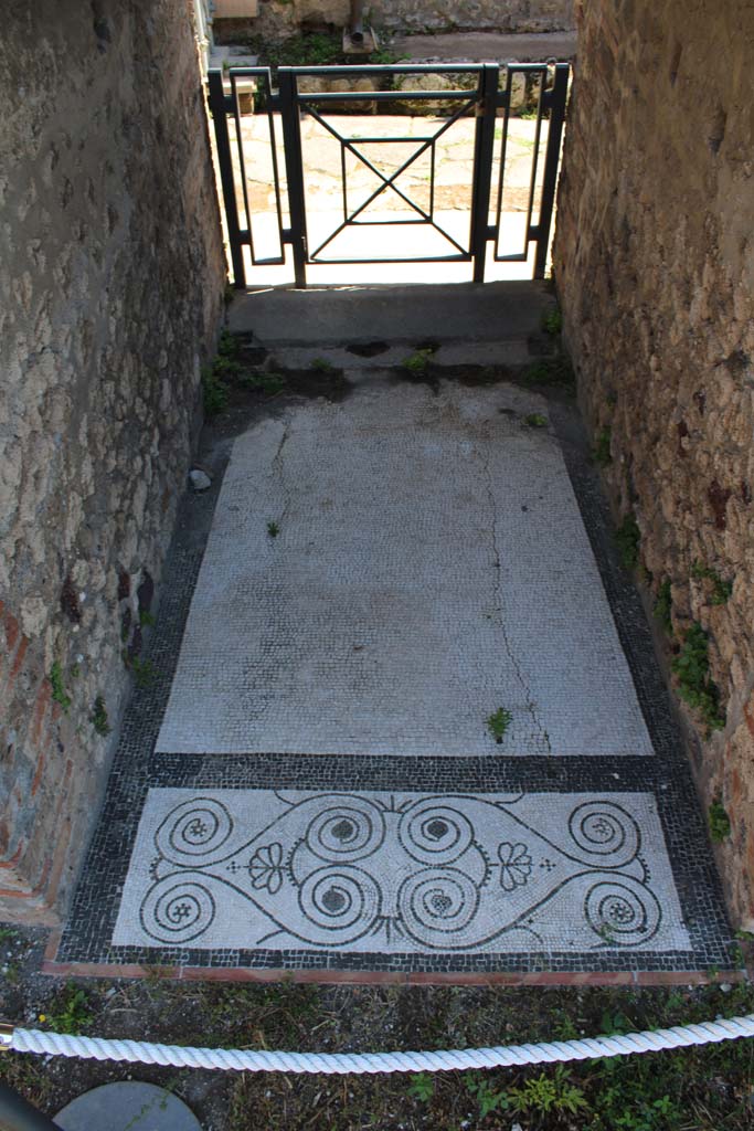 IX.5.14 Pompeii. May 2005. 
Looking east across mosaic floor of fauces (room “a”), from atrium towards entrance doorway.
