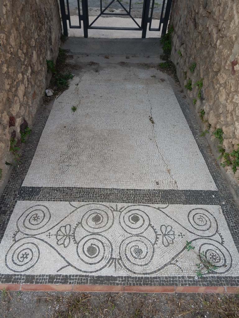 IX.5.14 Pompeii. May 2019. 
Room “a”, detail from west end of entrance corridor/fauces. 
Foto Christian Beck, ERC Grant 681269 DÉCOR.
