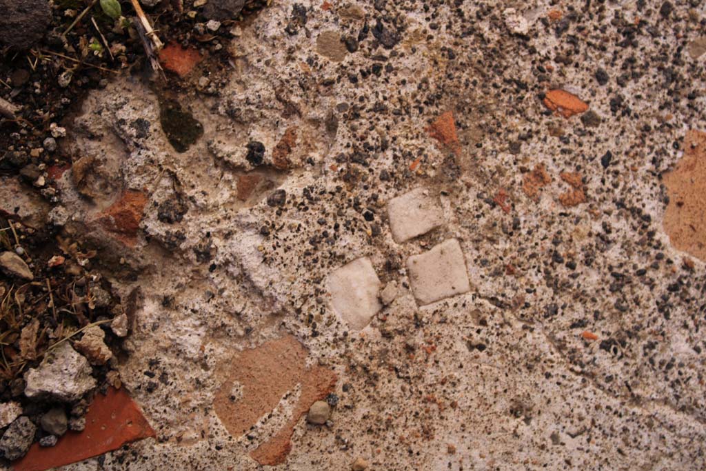IX.5.14 Pompeii. May 2019. Room “f”, detail of flooring.
Foto Christian Beck, ERC Grant 681269 DÉCOR.
