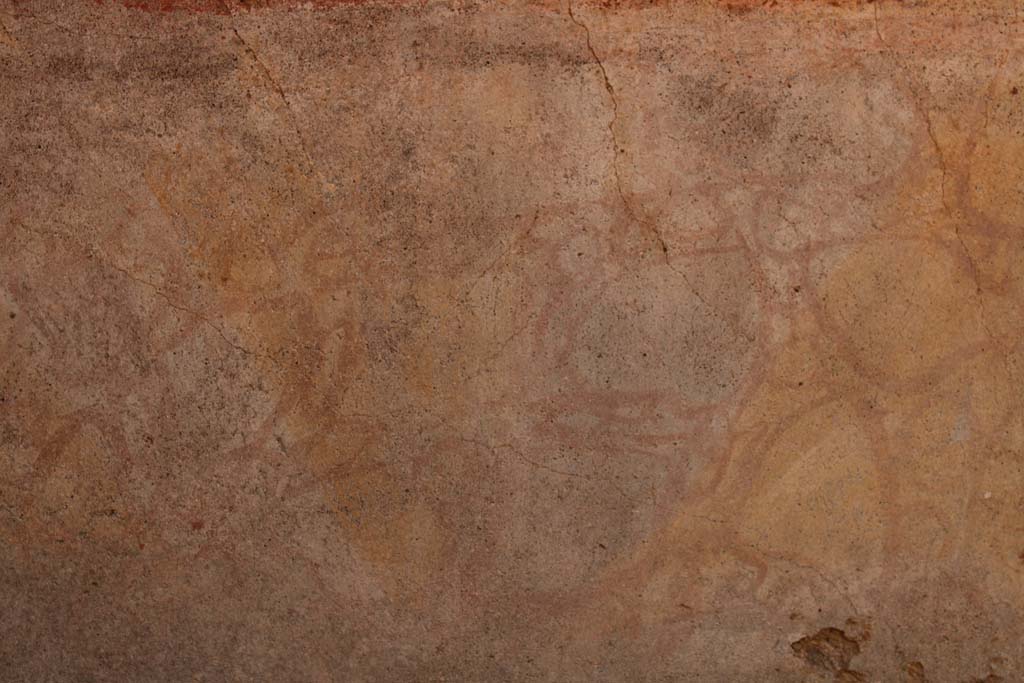 IX.5.14 Pompeii. May 2019. Room “d”, south wall, detail from painted zoccolo.
Foto Christian Beck, ERC Grant 681269 DÉCOR.

