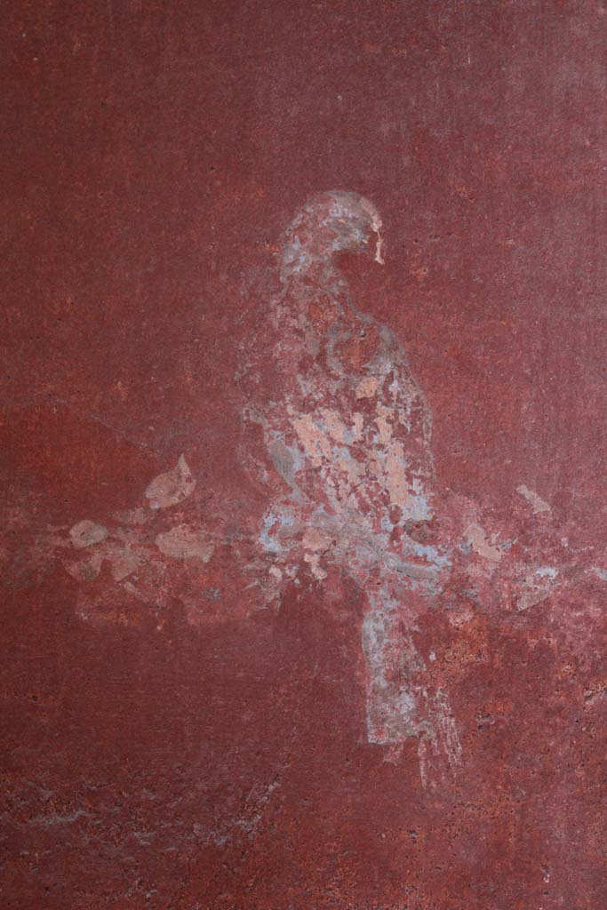 IX.5.16 Pompeii. May 2019. Room “g”, detail of painted bird from west end of north wall.
Foto Christian Beck, ERC Grant 681269 DÉCOR.

