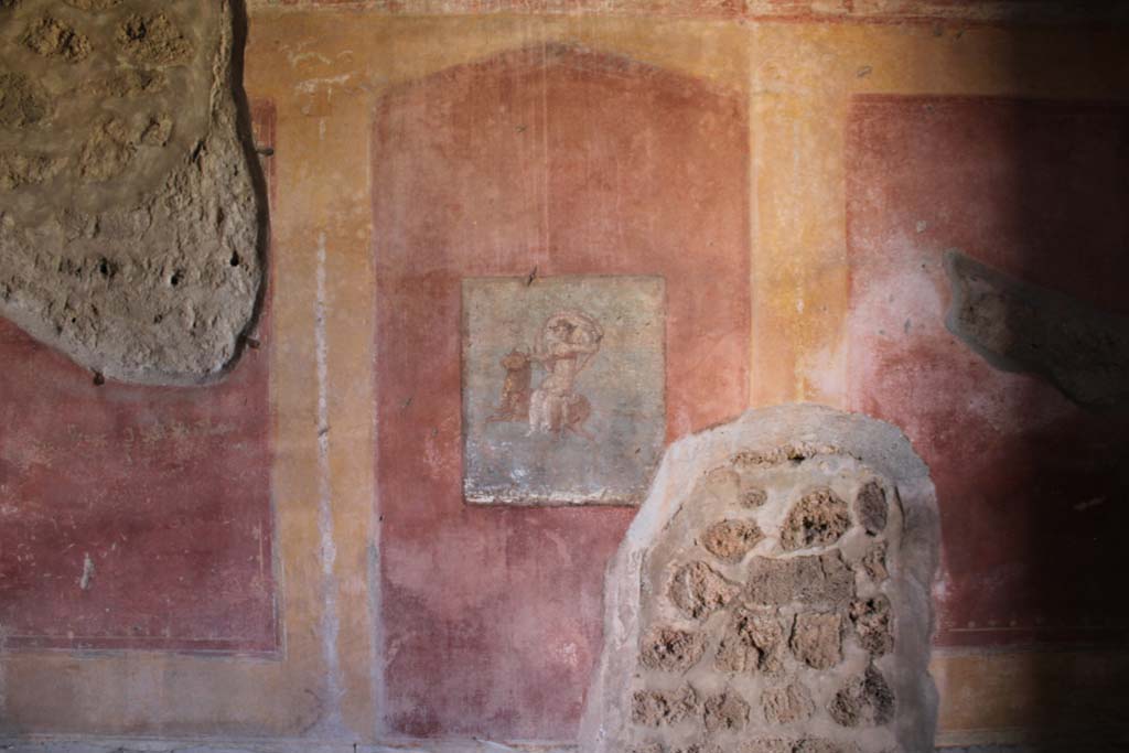 IX.5.14 Pompeii. May 2019. Cubiculum “g”, looking towards central panel on south wall.  
Foto Christian Beck, ERC Grant 681269 DÉCOR.
