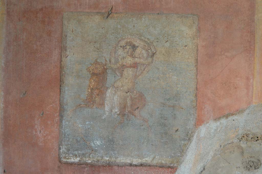 IX.5.14 Pompeii. March 2018.  
Cubiculum “g”, south wall. Detail of wall painting of Europa on side of bull. 
Foto Taylor Lauritsen, ERC Grant 681269 DÉCOR.
