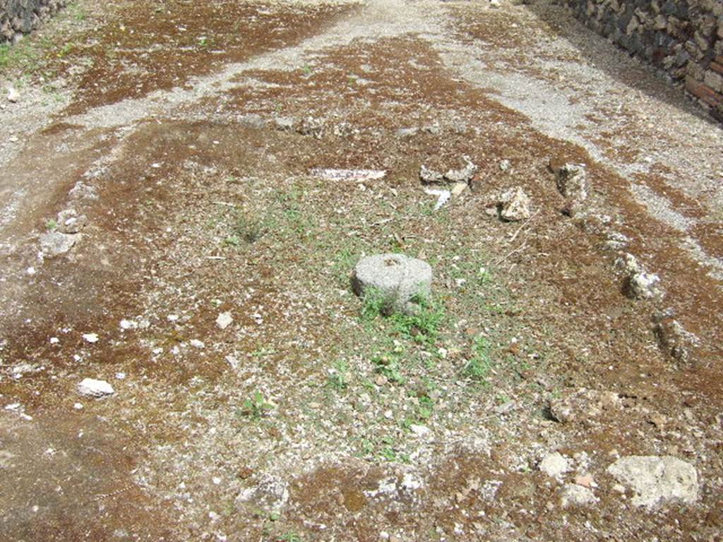 IX.5.16 Pompeii. May 2006. Looking north across impluvium in atrium a’.
The floor of the atrium would have been made of a type of opus Signinum.
The impluvium was a basin (1.85 x 1.40) surrounded by a small masonry wall around 0.35 high at the outside, 0.52 inside. 
In the upper part was a hollow for planting flowers and it was covered with red plaster, on the inside of which were painted scenes of fighting pygmies with crocodiles and hippopotamus.
See Mau in BdI, 1879, (p.207).

On the west side were two armed pygmies, one fighting with a crocodile, the other following a hippopotamus.
On the north side was a boat with two pygmies, a man and a woman, quoted by Mau as obscene: another pygmy, standing at the stern and armed with javelins, was frightened at the sight of a crocodile chasing the boat.
On the east side were two fighting pygmies, between them was a woman with a harp in her hands, nearby was an ibis. 
On the south side were two aquatic birds.
The “obscene” painting on the north side would have been in full view of all entering the entrance doorway at number 16. 
See Mau in BdI, 1879, (p.265)

