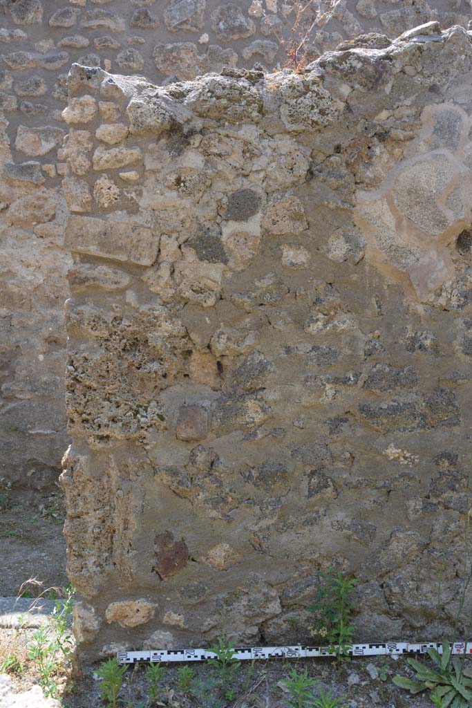 IX.5.17/6 Pompeii. May 2017. Room x, detail from south end of west wall.
Foto Christian Beck, ERC Grant 681269 DCOR.
