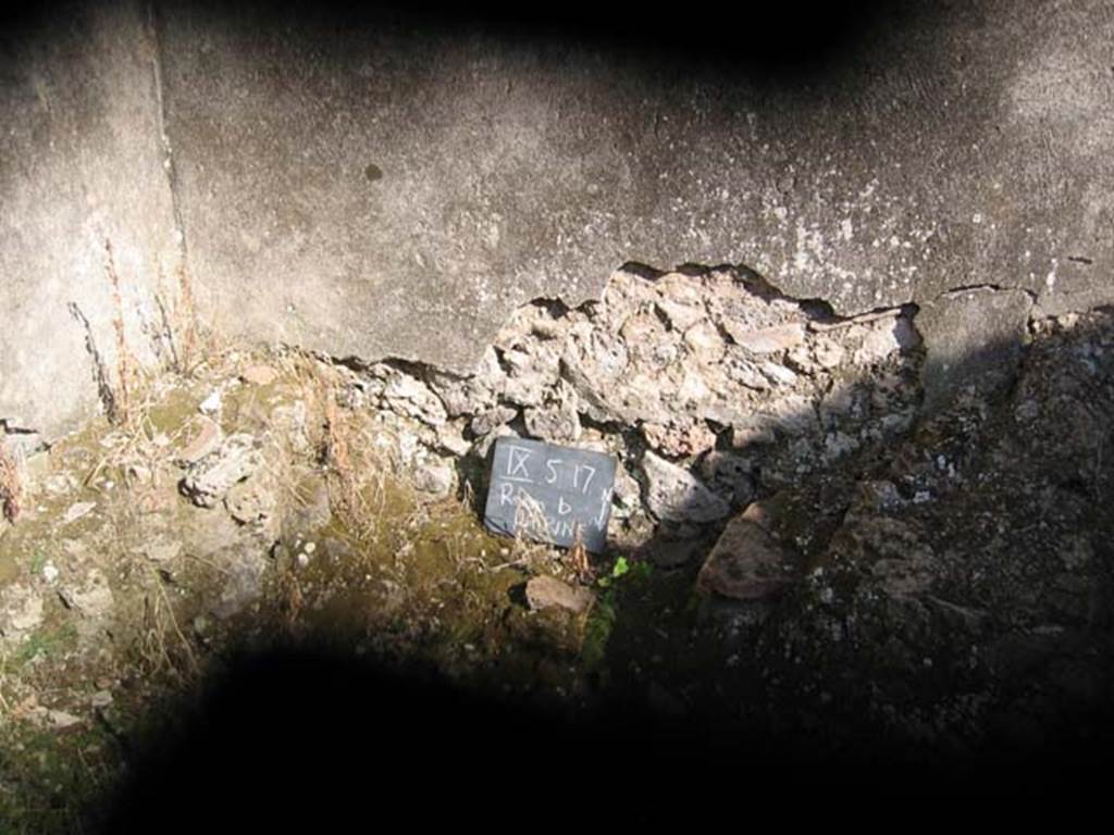 IX.5.17/6 Pompeii. July 2008. Latrine. Photo courtesy of Barry Hobson.
This appears to be from the south-east corner of room q.


