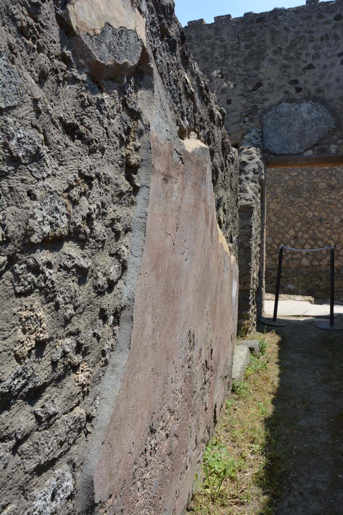 IX.5.6 Pompeii. May 2017. 
Room y, detail from east wall in corridor, near entrance doorway.
Foto Christian Beck, ERC Grant 681269 DÉCOR.
