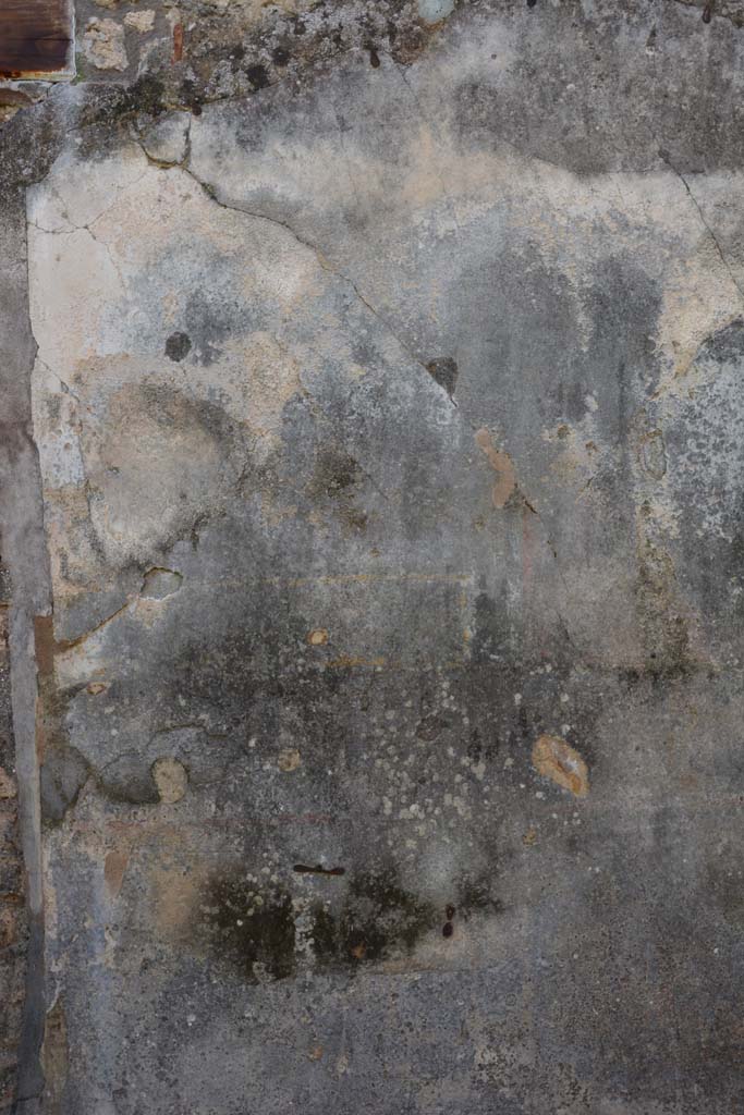 IX.5.18 Pompeii. March 2017. Room f, detail from south wall at east end. 
Foto Christian Beck, ERC Grant 681269 DÉCOR.
