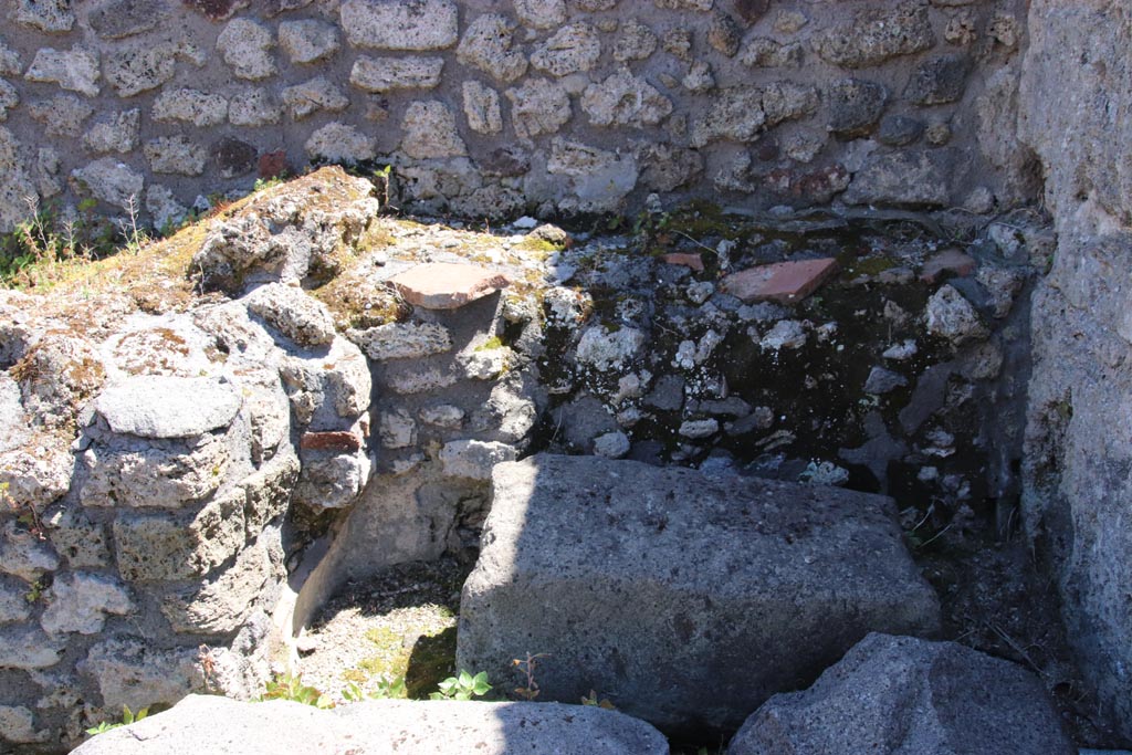 IX.6.4 Pompeii. May 2024. Room “e” detail from south wall. Photo courtesy of Klaus Heese. 