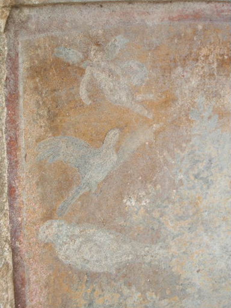 IX.6.8 Pompeii. May 2005. Aedicula Lararium with painted plaster showing flying cupid and birds, from south side of niche.
