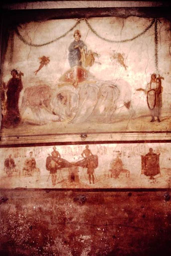 IX.7.6 Pompeii. 1964. Fresco of Venus being pulled by elephants. Photo by Stanley A. Jashemski.
Source: The Wilhelmina and Stanley A. Jashemski archive in the University of Maryland Library, Special Collections (See collection page) and made available under the Creative Commons Attribution-Non Commercial License v.4. See Licence and use details.
J64f1398
