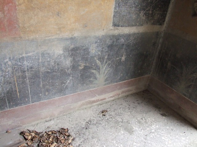 IX.7.20 Pompeii. December 2007. Room (i), north-west corner of large triclinium, with painted plants.