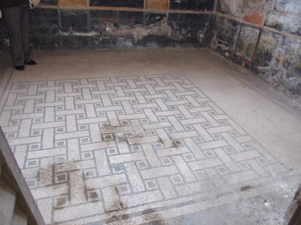 IX.8.6 Pompeii. December 2007. Room 40, mosaic floor in cubiculum. The main mosaic is a pattern of black and white rectangles and squares. This is bordered on the south and east sides by plain white mosaic strips.