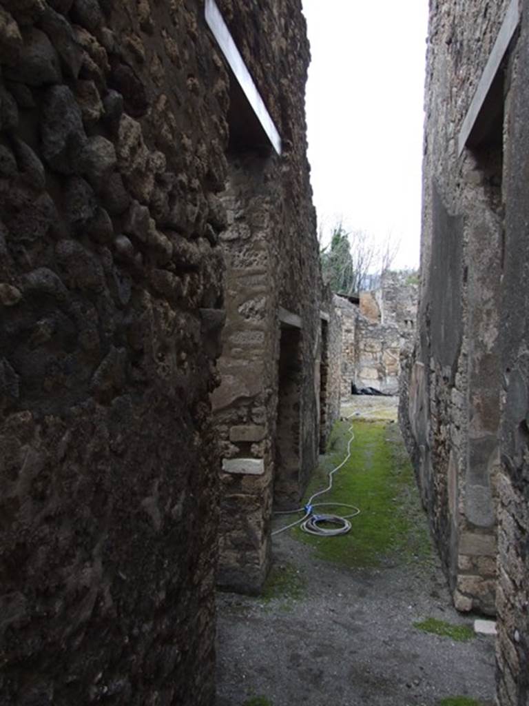 IX.8.6 Pompeii. March 2009. Room 42, corridor, looking north with two doorways to room 41, corridor.
