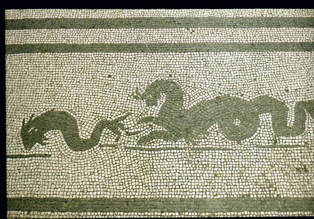 IX.8.6 Pompeii. Entrance mosaic.  Photographed 1970-79 by Günther Einhorn, picture courtesy of his son Ralf Einhorn.
