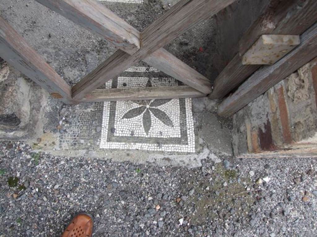 IX.8.6 Pompeii. March 2009.  Room 11, Mosaic in threshold of side door from andron.