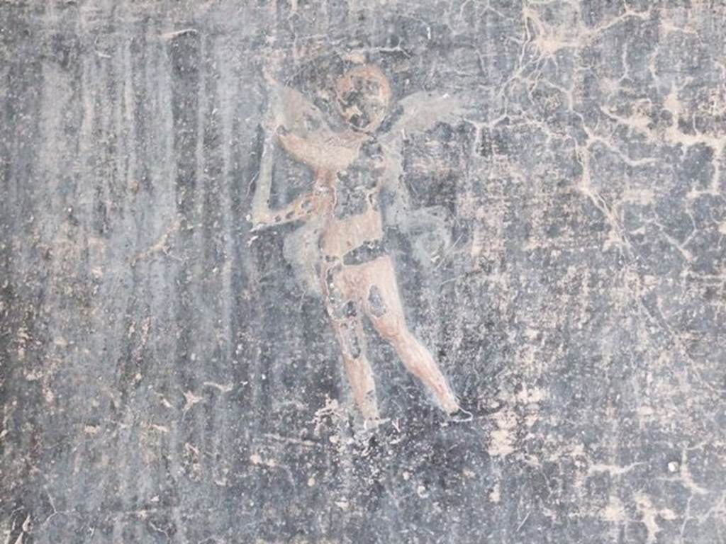 IX.8.6 Pompeii. March 2009.  Room 11.  East wall. Cupid in central panel.