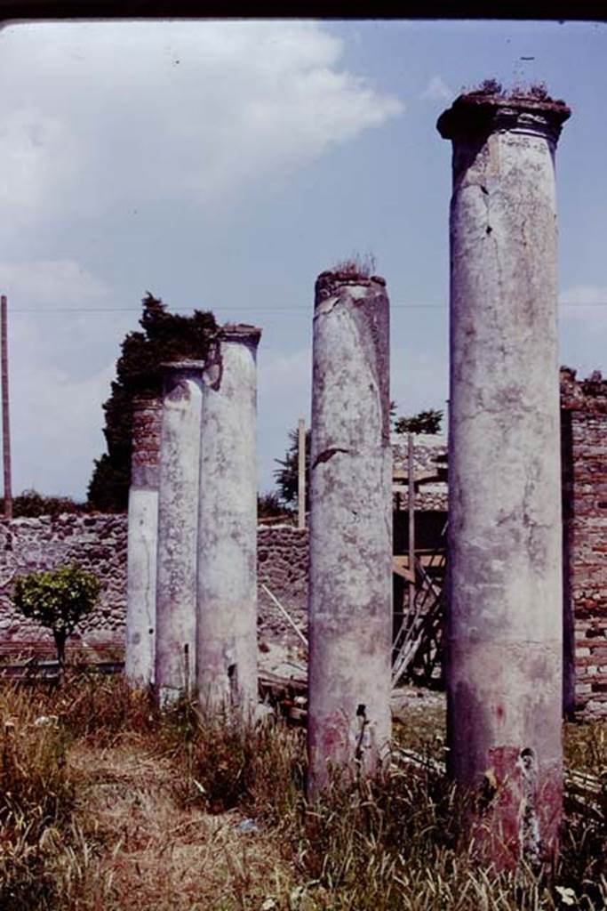 IX.8.6 Pompeii, 1978. Looking east across south end of peristyle. Photo by Stanley A. Jashemski.   
Source: The Wilhelmina and Stanley A. Jashemski archive in the University of Maryland Library, Special Collections (See collection page) and made available under the Creative Commons Attribution-Non Commercial License v.4. See Licence and use details.
J78f0218
According to Jashemski, the peristyle was enclosed on four sides by twenty-two columns, white above and red below.
Cuts in the columns indicated where a wooden fence would have been inserted between the columns.
See Jashemski, W. F., 1993. The Gardens of Pompeii, Volume II: Appendices. New York: Caratzas. (p.244).
