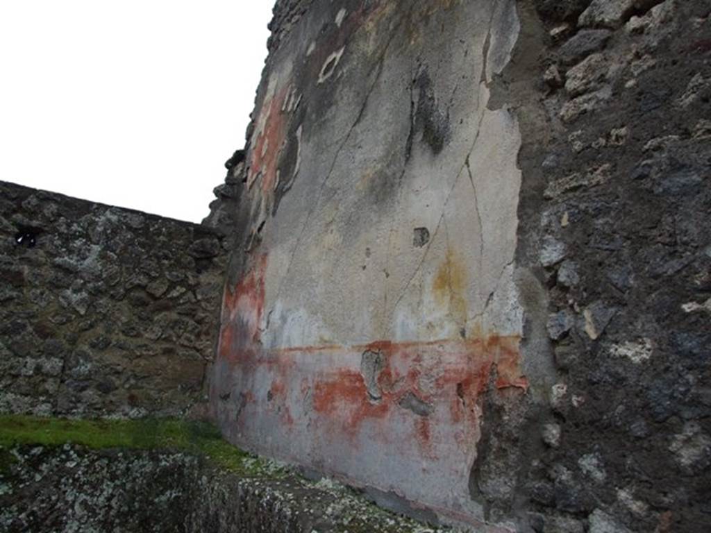 IX.8.6 Pompeii. March 2009.   Room 31. West wall.