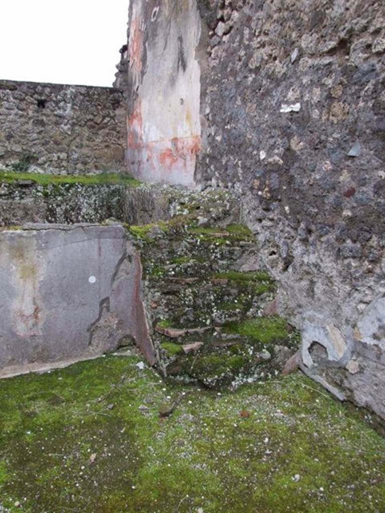 IX.8.6 Pompeii. March 2009.   Room 31, Steps to swimming pool on south west side.